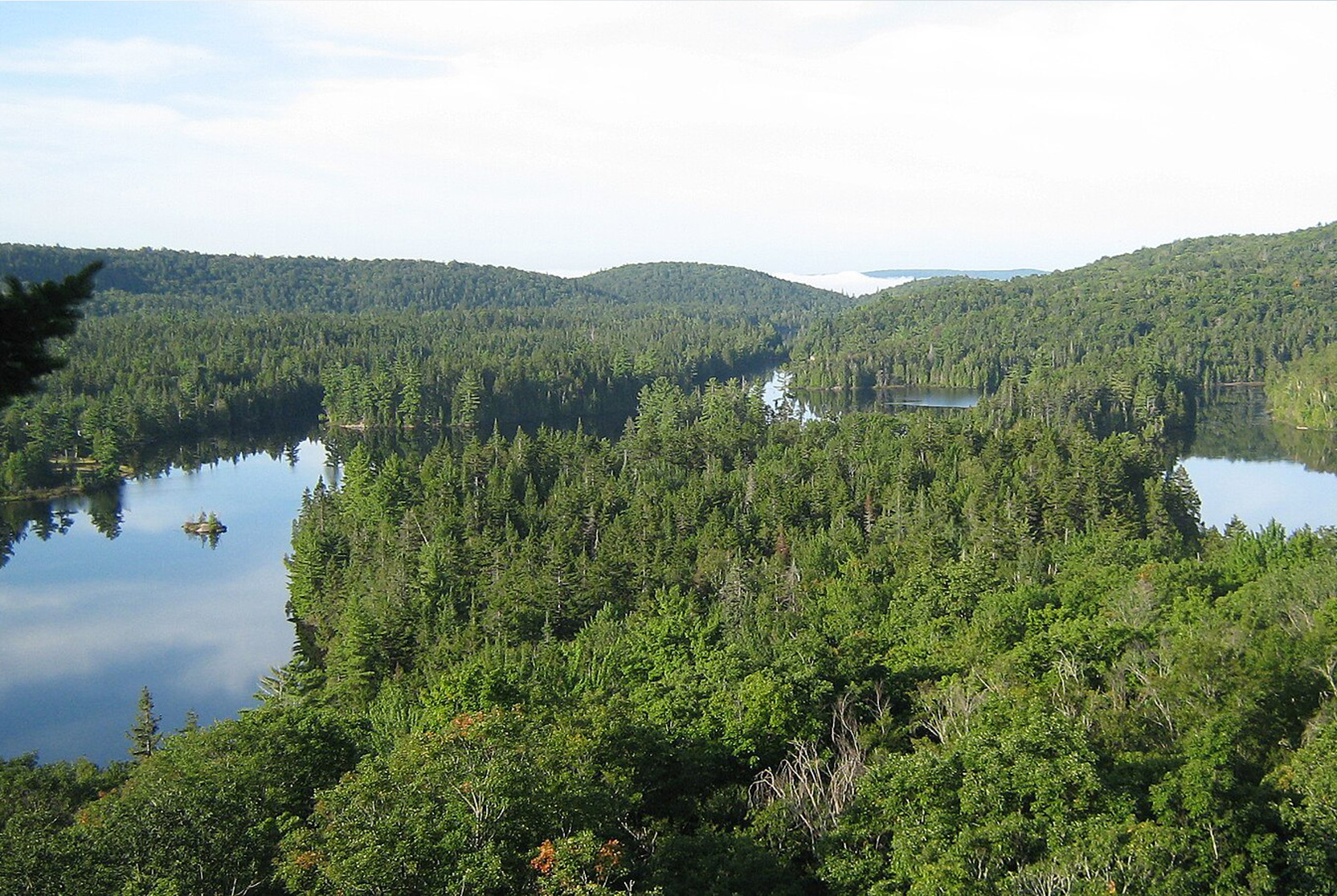 Mauricie